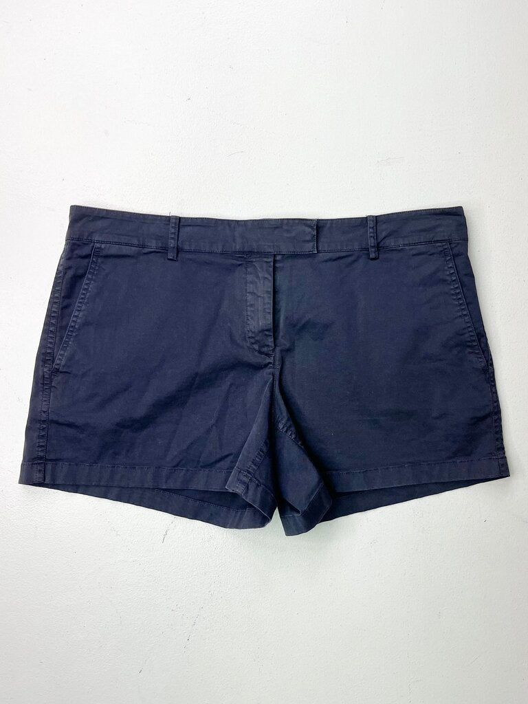 THEORY SHORTS 10 PREMIUM
