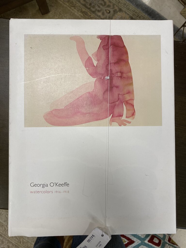 GEORGIA O KEEFE BOOK HOME