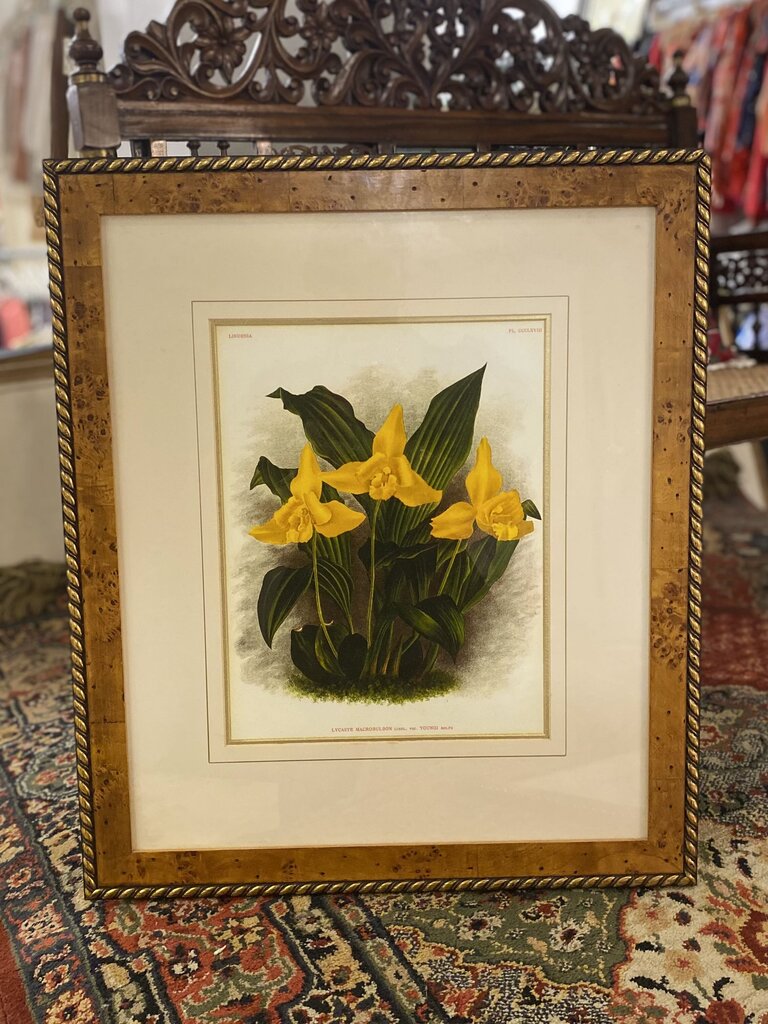 FLOWER FRAMED ART HOME