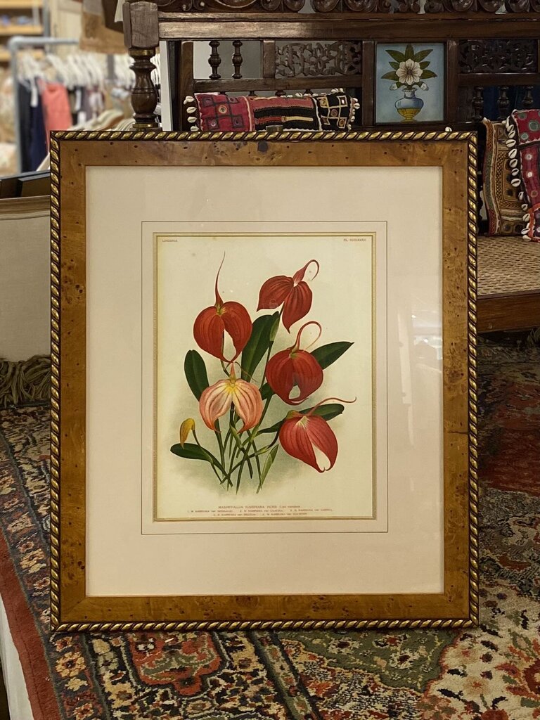FLOWER FRAMED ART HOME