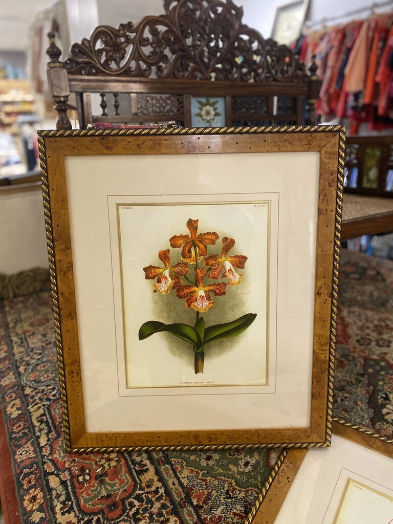 FLOWER FRAMED ART HOME