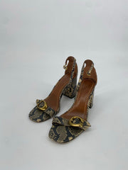 COACH SANDLAS 6.5 PREMIUM