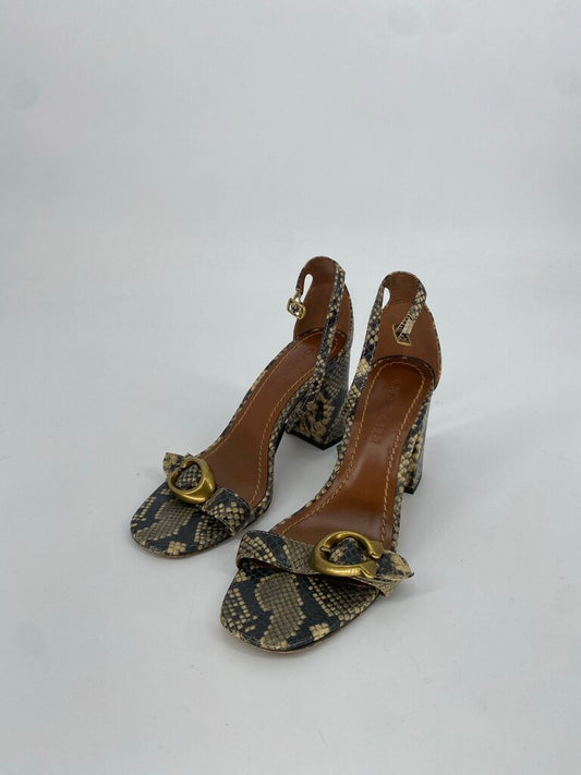 COACH SANDLAS 6.5 PREMIUM