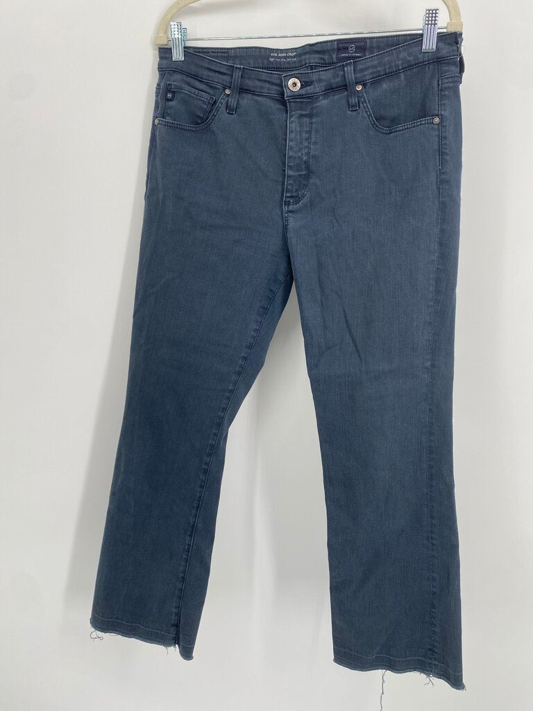 AG JEANS 31R PREMIUM