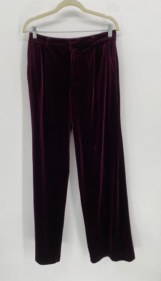 SANCTUARY PANTS 28 PREMIUM