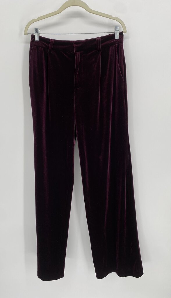 SANCTUARY PANTS 28 PREMIUM